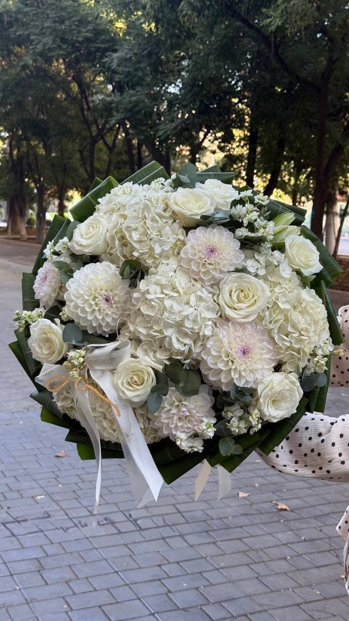нежное великолепие